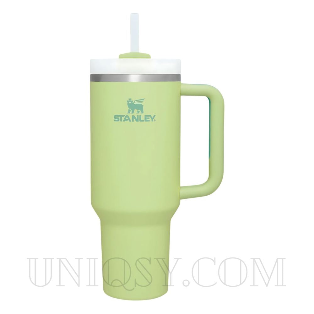 Stanley 40 OZ Tumbler with Handle and Straw Lid - Stainless Steel